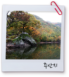 주산지 사진